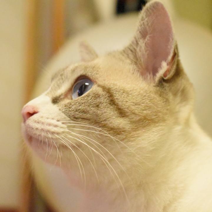 D8f1b6bc 36dc 44ef 96d5 b614325686ef 1537351429011