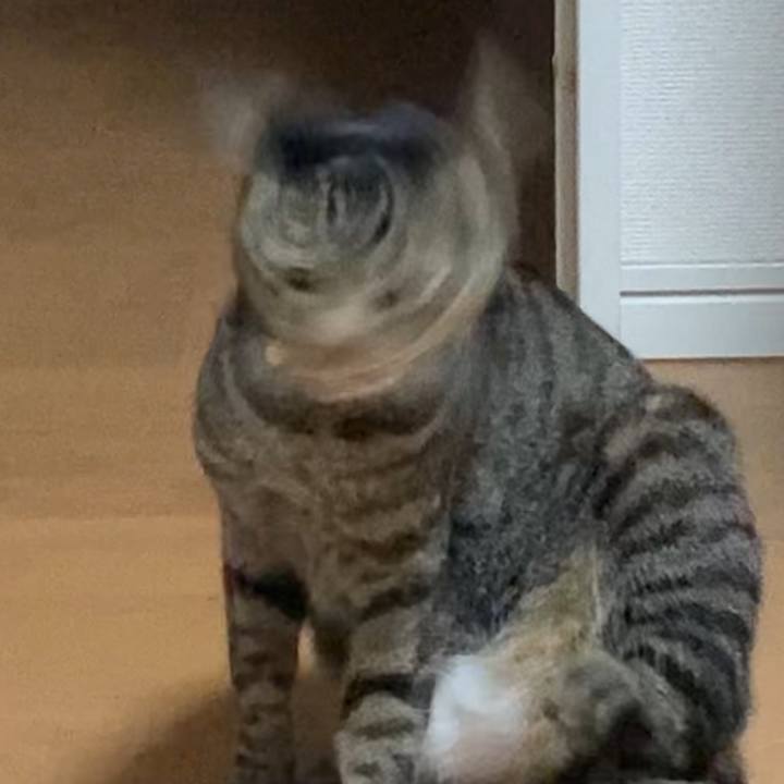 D8f1f5db 1192 461f a34c 930f2e49a82a 1612246249251