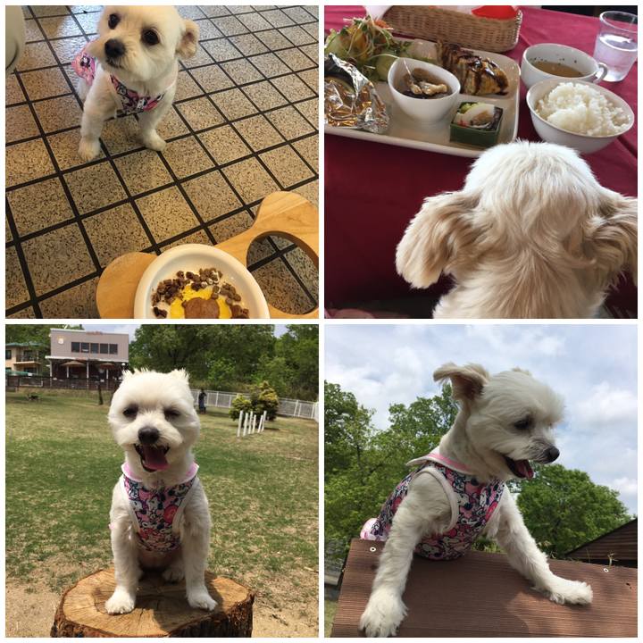 D8f200c6 0ecc 42b9 812a 2a4c9948b769 1557043524577