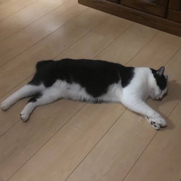 D8f24988 b123 468f 923b 31dfc44041ff 1556915957415