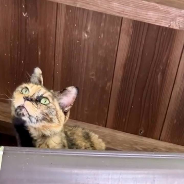 D8f255b9 f0e9 408a a44e 8b8718b77733 1743578569113