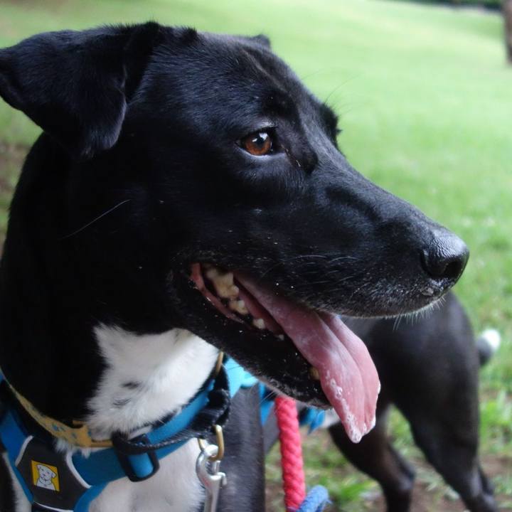 D8f26311 0015 47eb 9f6d 8494303e7009 1624702246274