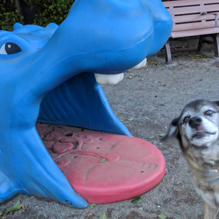 D8f26f90 5a87 4b73 ab19 848ca8de944c 1523012144241