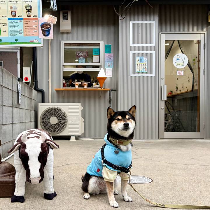 D8f2d0ce 9565 495d ae65 d24e2401e678 1767669975735