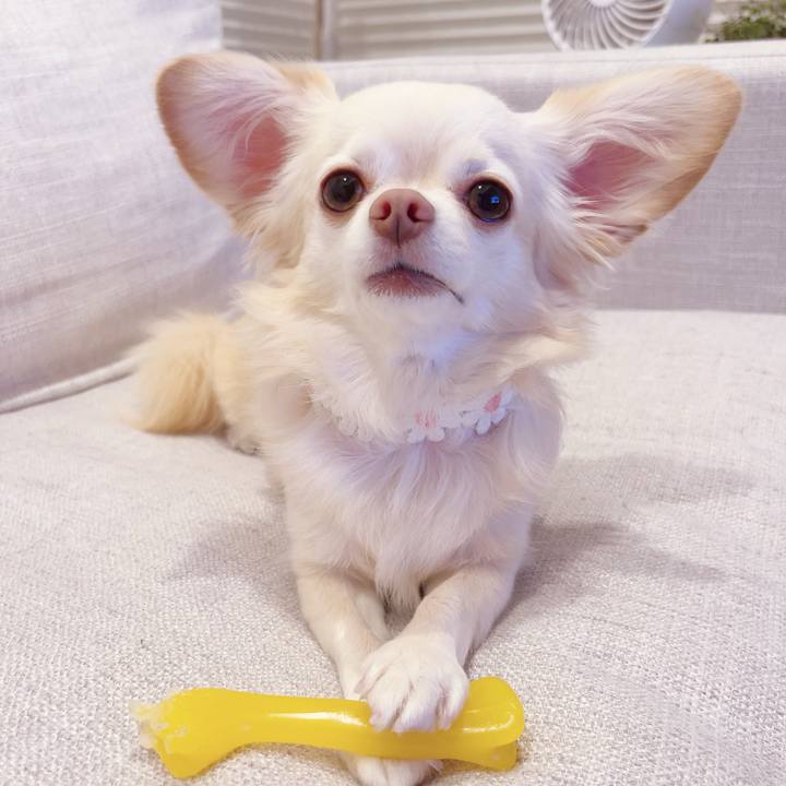 D8f2d460 1c64 4039 b671 80d0fe58c394 1699451506946