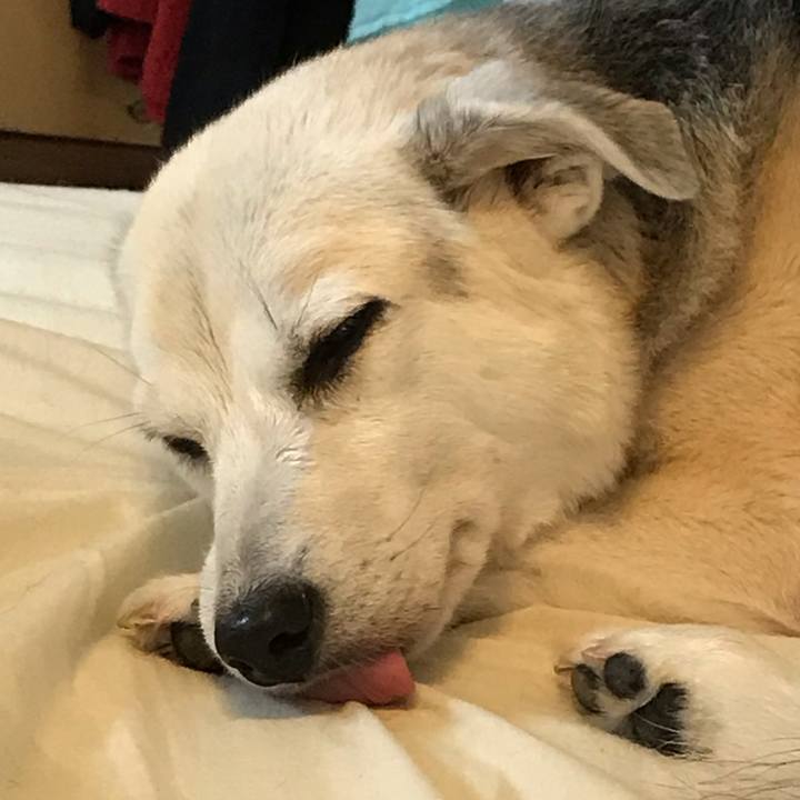 D8f304ce 69f2 4bac 9588 7f099b7bddd3 1600213153873