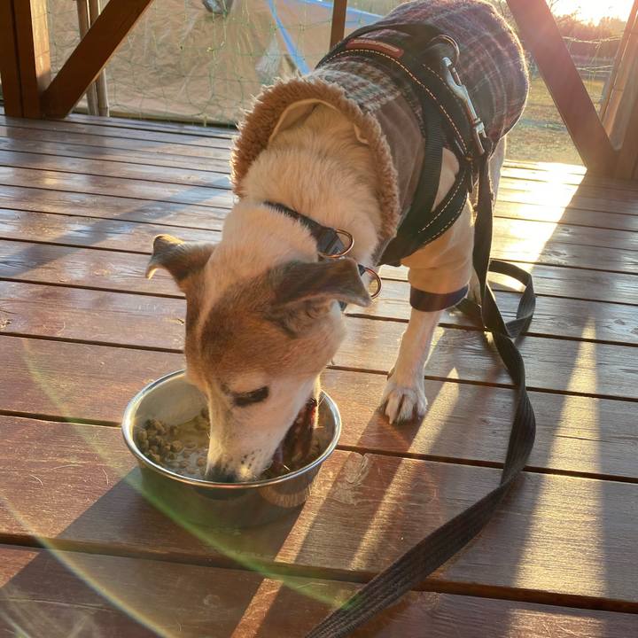 D8f307e6 87b8 45ed a80c 8b4b6f14b5e2 1609472417758