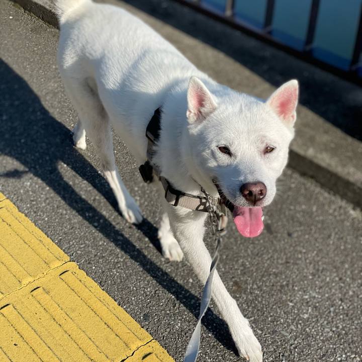 D8f315dc 1a24 4bc1 a0d3 7f8fa305fe42 1664494435589