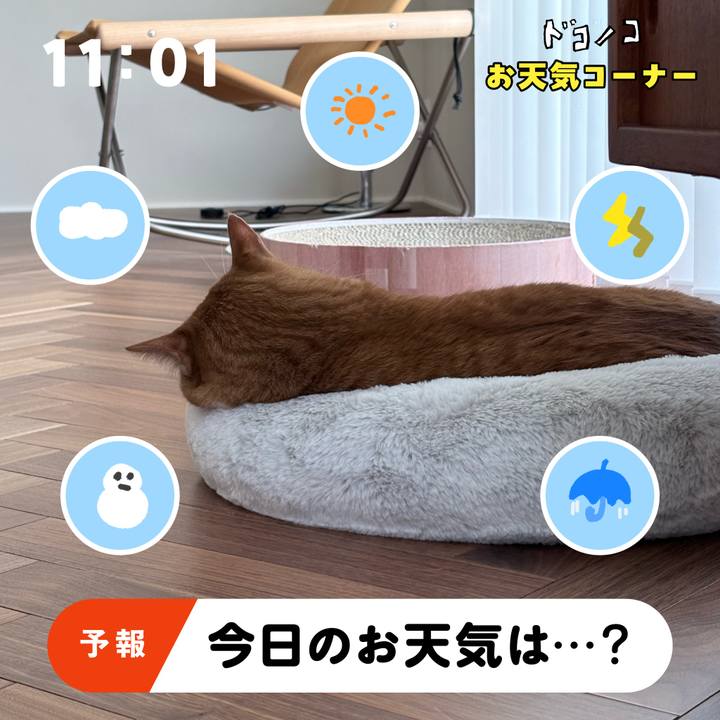 D8f32556 be44 4f05 bc3b 94d1a77ca39e 1781741855985