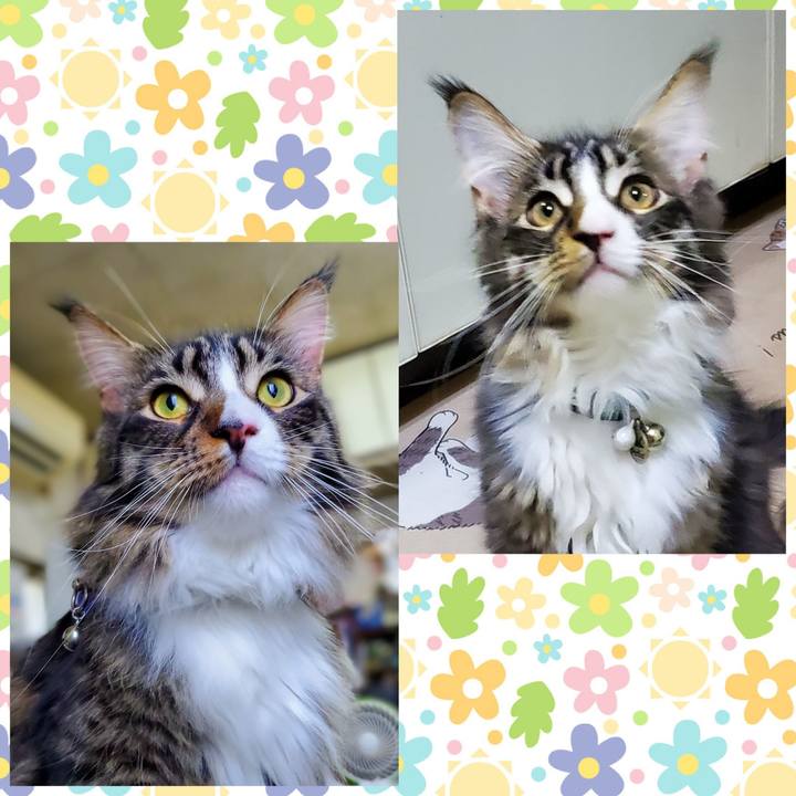 D8f3351b 8aea 4d3e 944e f01a6b797875 1692155617833