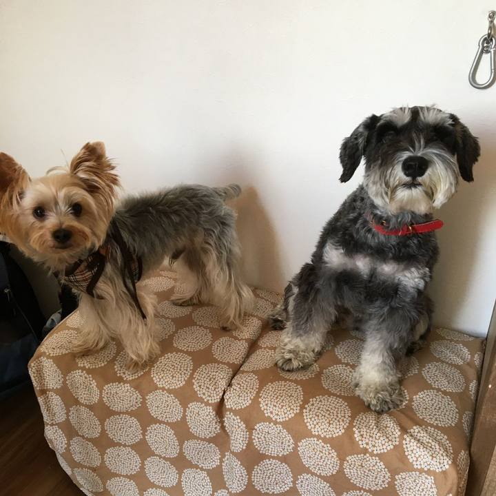 D8f36c34 6a6f 42b1 a3af 2bd7e80b9cb9 1600150454963