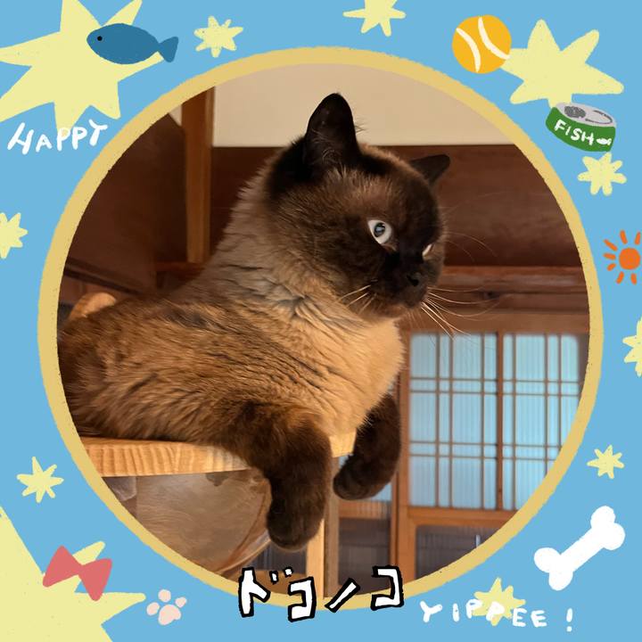 D8f391c1 327f 470b 8cc7 06bfd0c66a9e 1720858554303