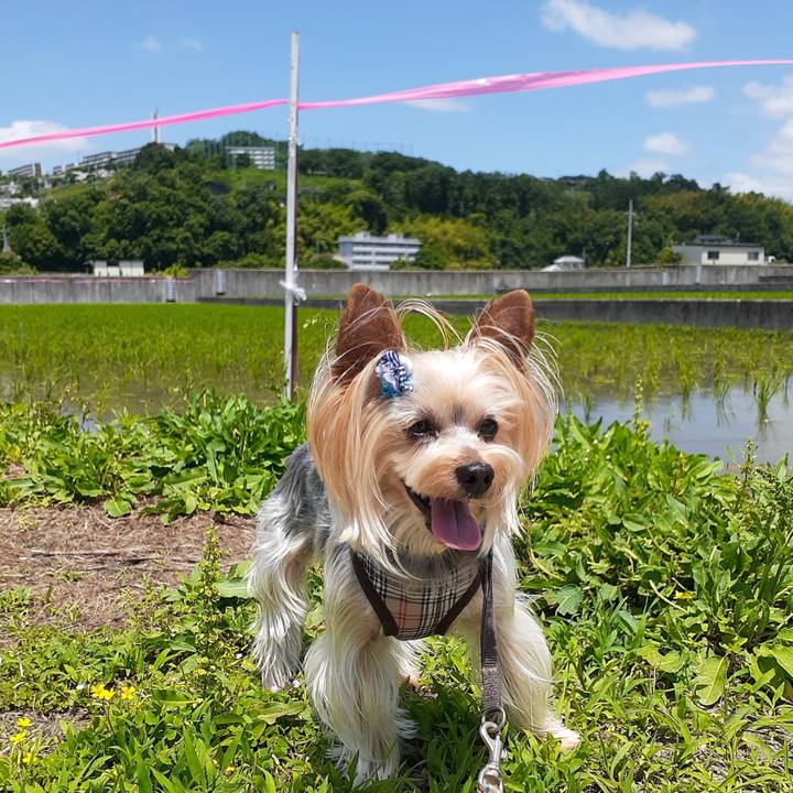 D8f39bc2 c185 40ee 9ea8 ae28d0b37cdc 1655002050136