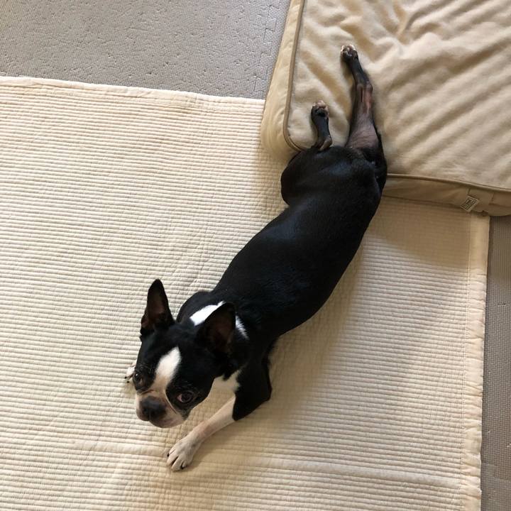 D8f3a186 d4fe 4204 b2ba 89f753aaf9d0 1671602279723