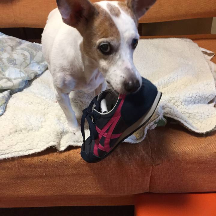 D8f3b6d9 ea2d 4f67 8712 2adfd9a81756 1540787974328