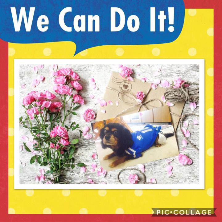 D8f400f4 cecc 4f56 9ff8 ef3d78747f38 1529851713100