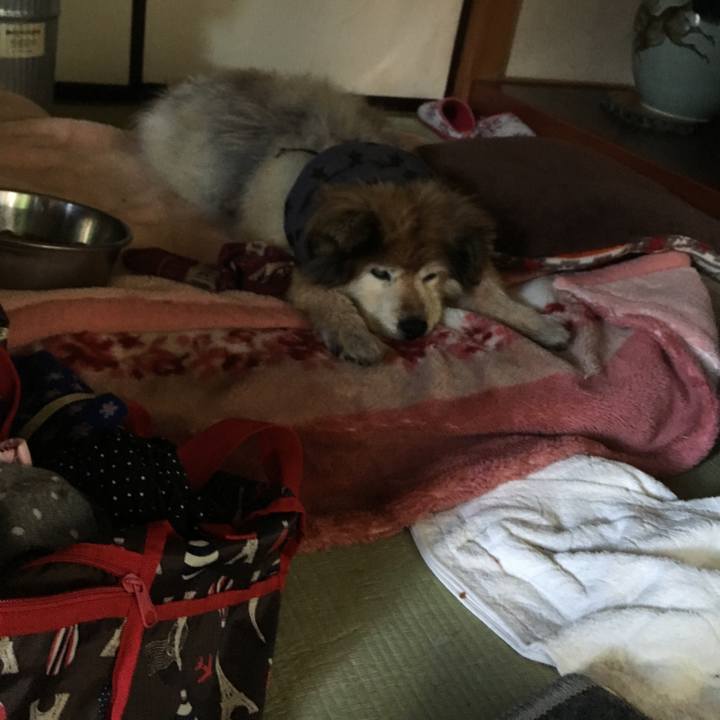 D8f42159 f509 493c 8b60 c0827de794f5 1606484853682