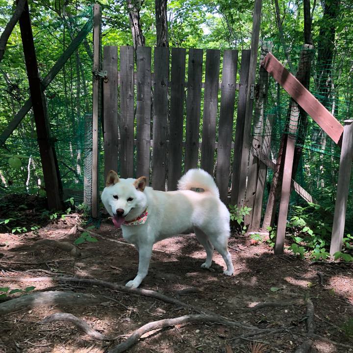 D8f427ca 130e 4cda a2f0 e6df36d4d84c 1558957440064