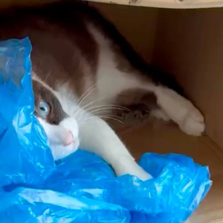 D8f479e9 8881 44fe 9a7f fee486704dbd 1756433974718