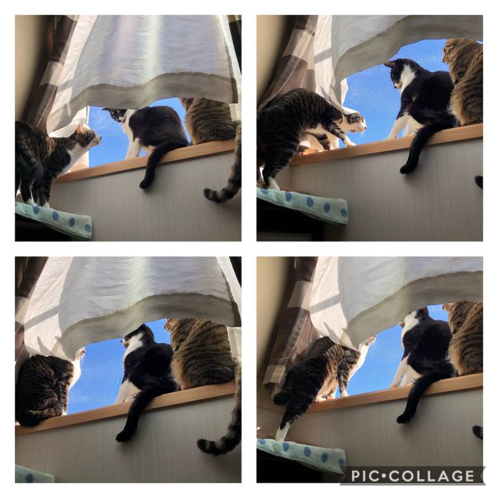 D8f49942 151e 489a be66 b0a7ffaef23e 1605060334469