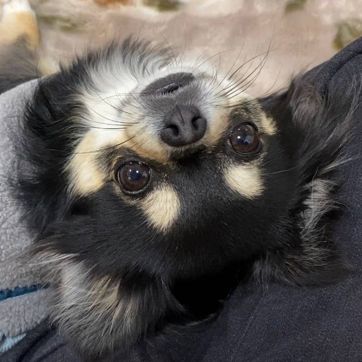 D8f4b59d 71bf 4bce b0df e0ce1d92ae6a 1610434517273