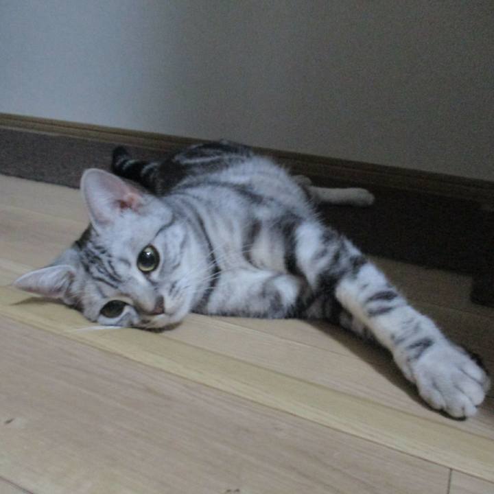 D8f4d3e3 617d 4a13 b400 81d5bac272b2 1558866405477