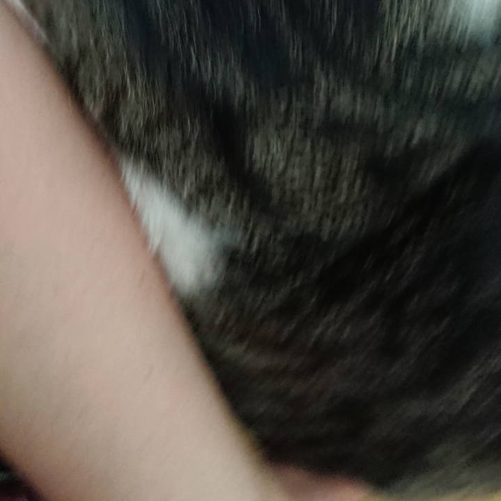 D8f4d9ea 45cb 4feb 9813 a88ba3b60349 1565147685369