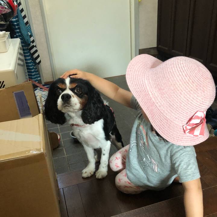 D8f50300 c689 4c52 9053 0cd884479b96 1532092917921