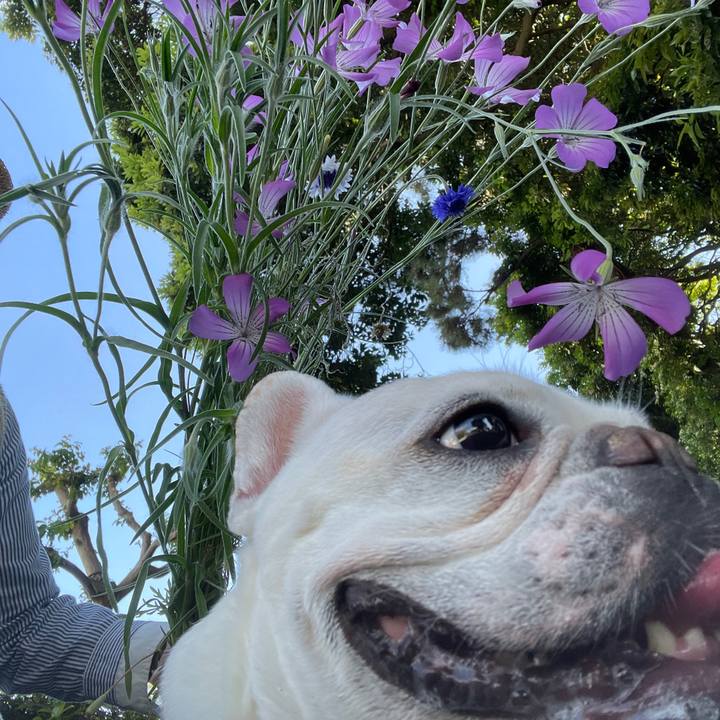 D8f542bd 2d02 4520 ab8f dd325665c4db 1747124122283