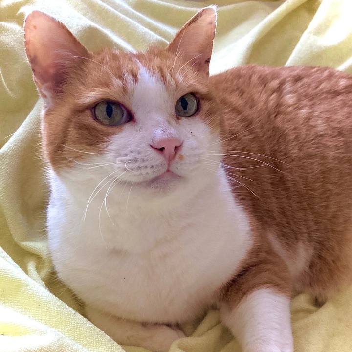 D8f59bcd 708e 41ae 9194 2949ad43fb91 1677570062095