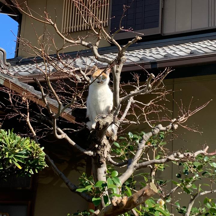 D8f5ce19 1179 4279 880e 52b71906b6e4 1582853532526