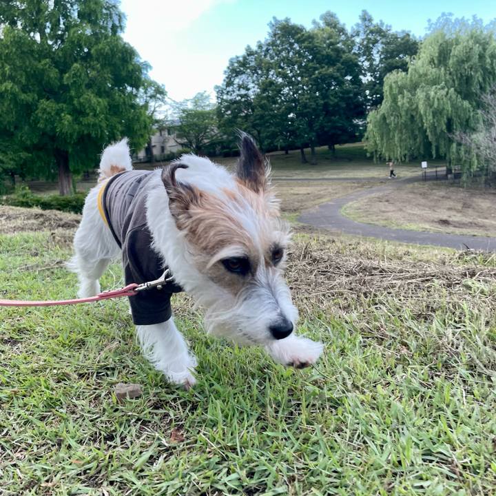 D8f6066a b849 4a5e 8399 b2138a6194c3 1654766766382