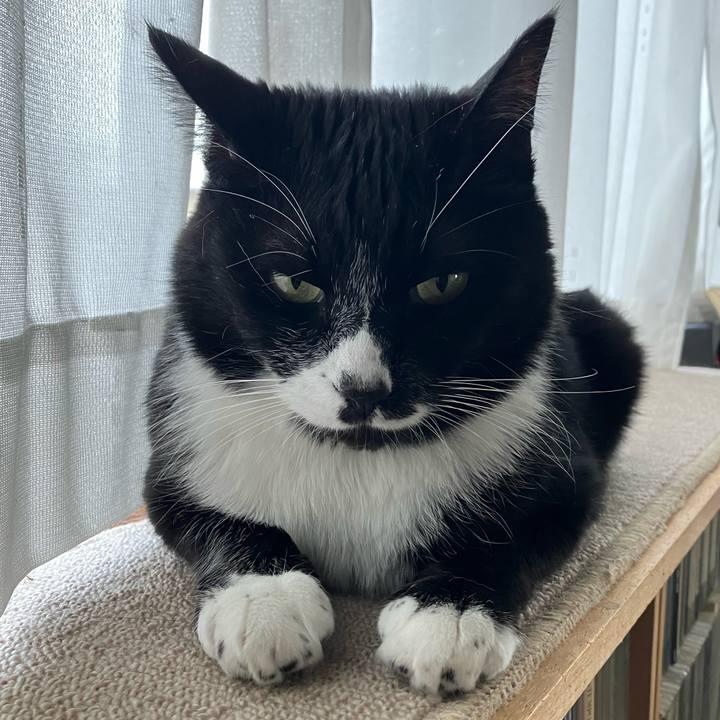 D8f63ec0 38b0 486e a848 598242587c4d 1719199612963