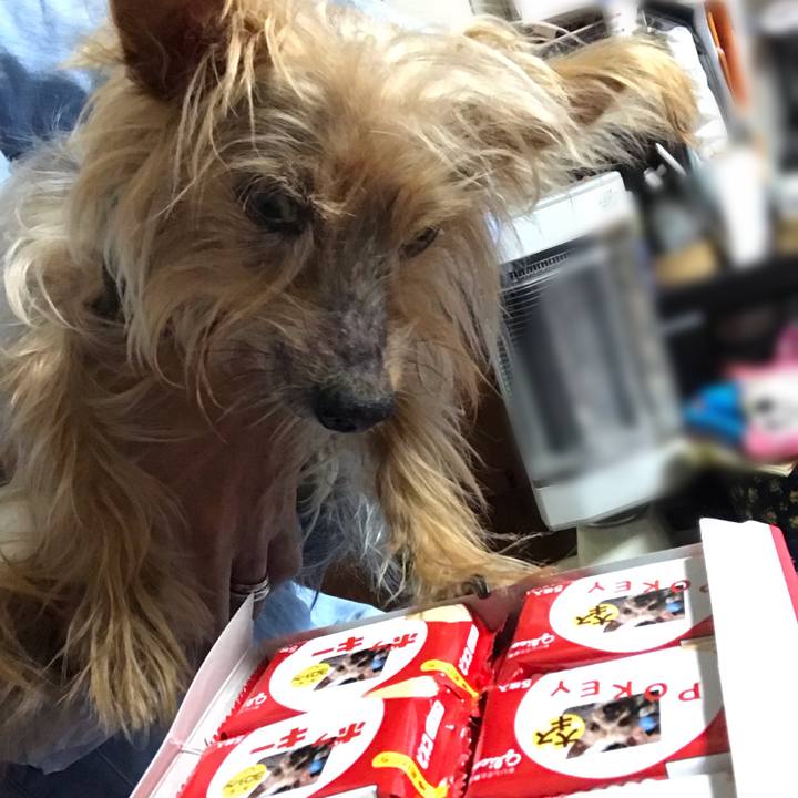 D8f67044 63ea 4023 9a65 192c6970b2a1 1541668208399