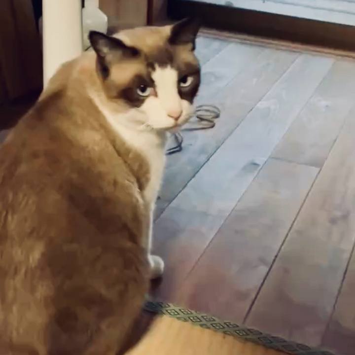 D8f6894e 3717 4036 a597 126e88c42163 1759226462436