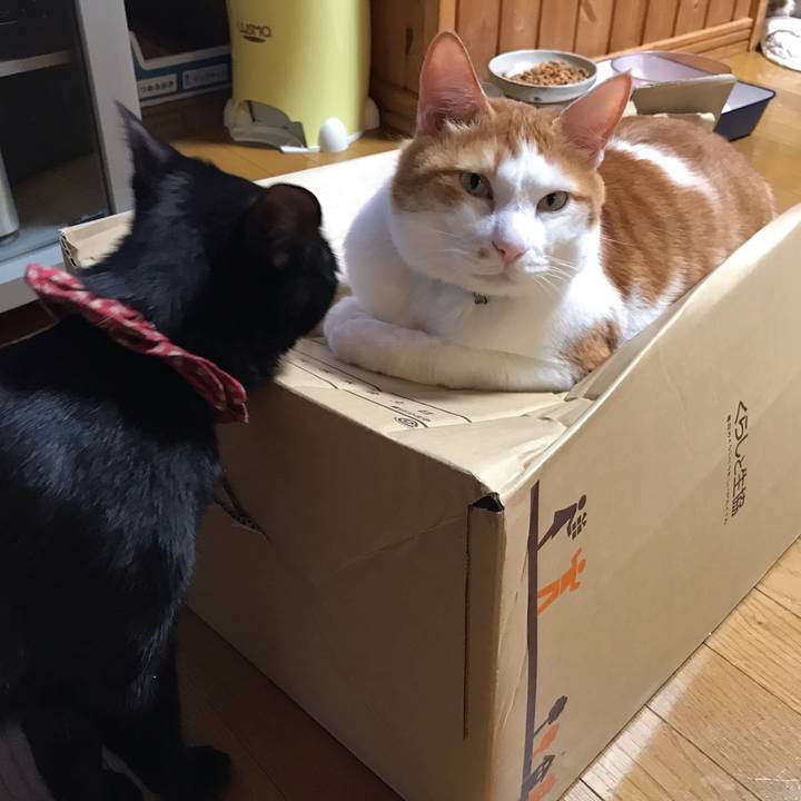 D8f68a14 10ee 4c4d bfc3 1121fae9421b 1602406300600