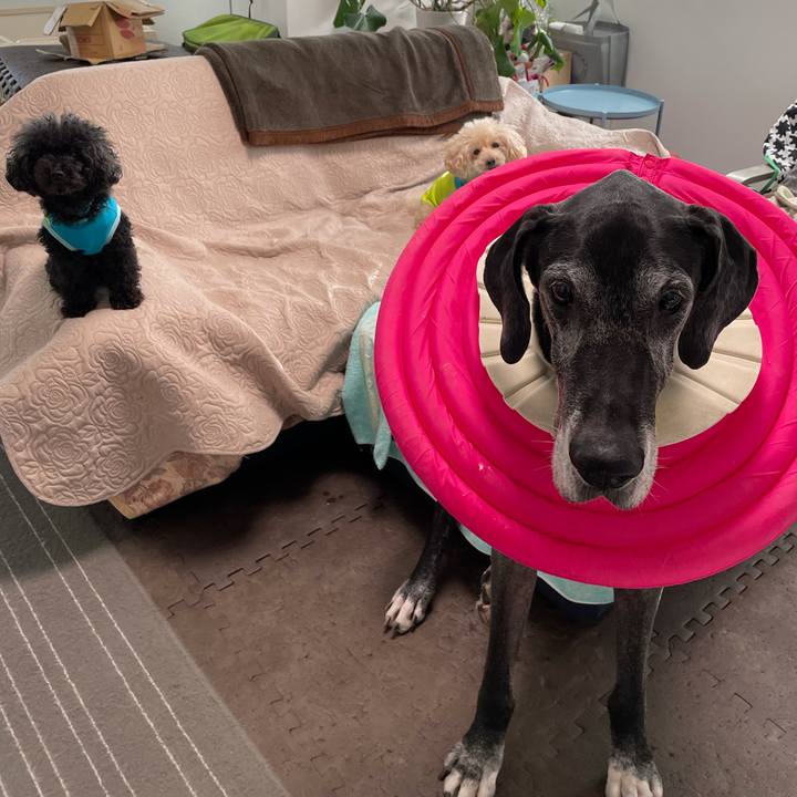 D8f6cd5e d2b9 414d 925f 74bf09a99a15 1636066066300