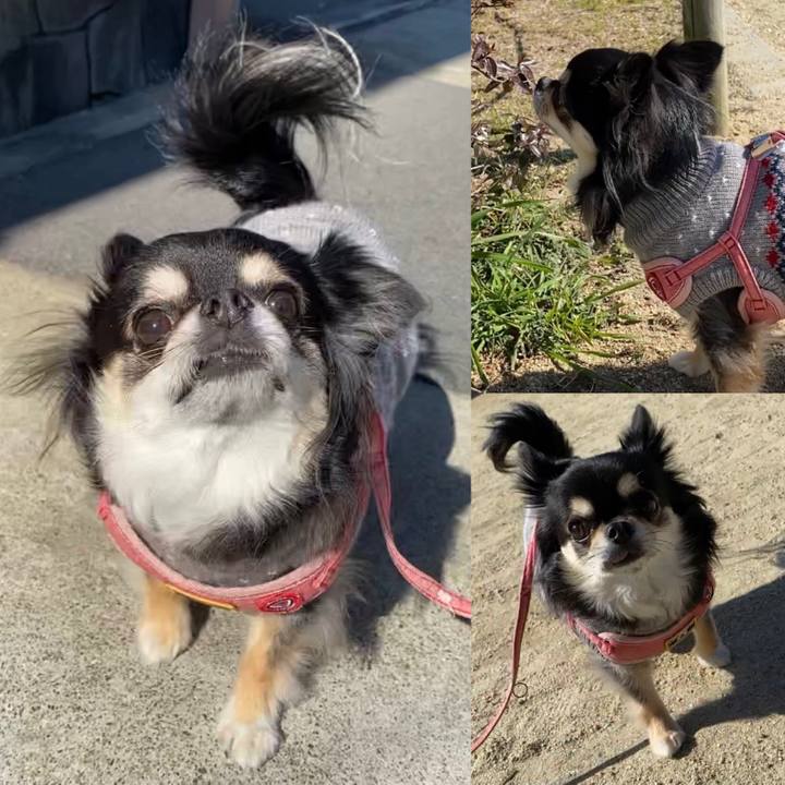 D8f6d956 c44d 4bd2 b4a4 a82e2651db67 1644292585612