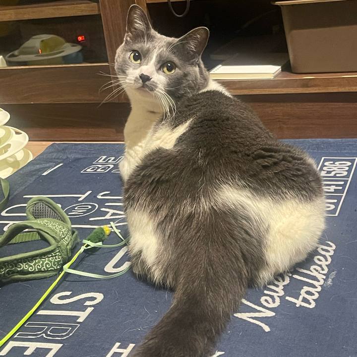 D8f6df14 c347 409c 87b1 cbe1f10569c7 1712594729852