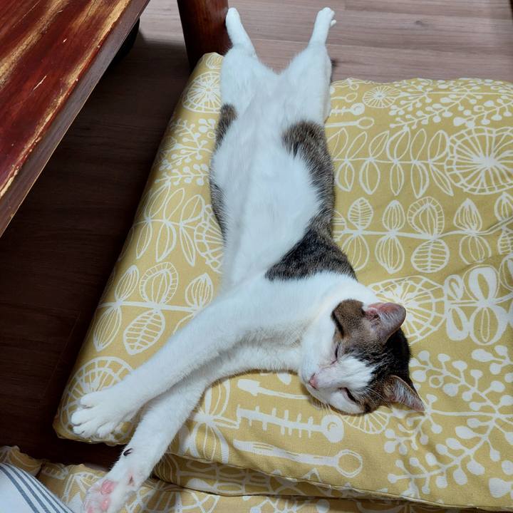 D8f6f12b 922a 4c99 b438 0ffe8a50bc18 1726308939405