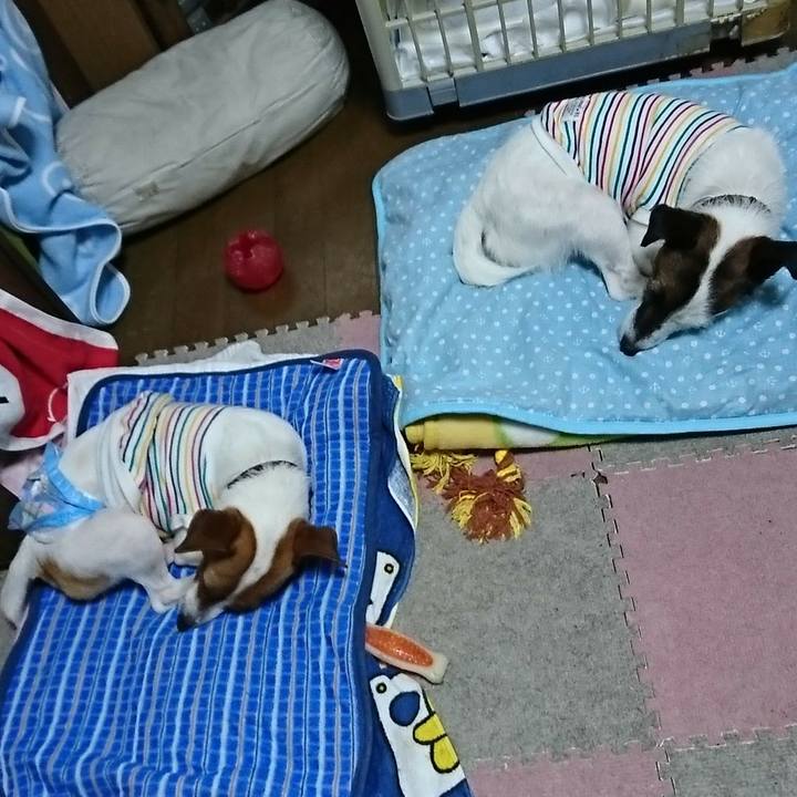 D8f6f858 eaa6 4a98 a30b 439e66c2767a 1529489977545