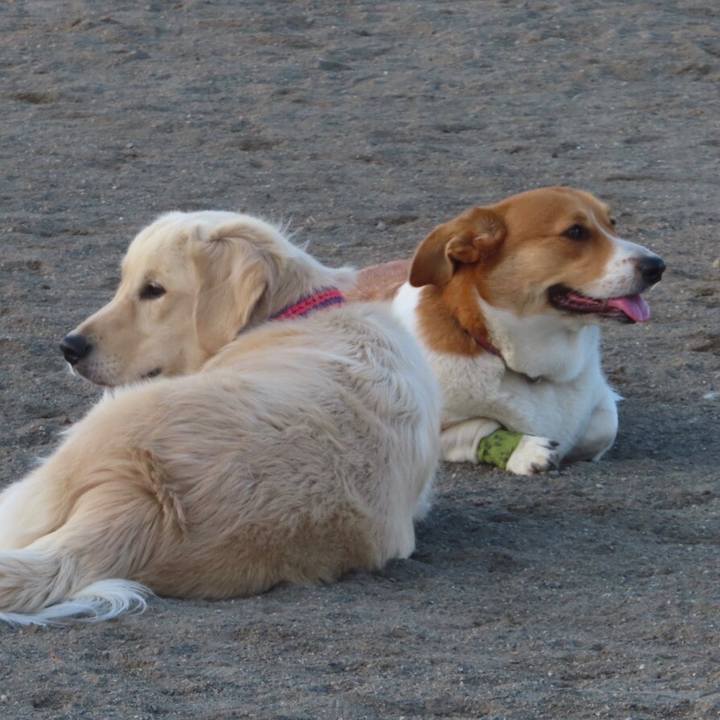 D8f7004b 59e2 4877 9b45 0b4f2741cec0 1635126603822