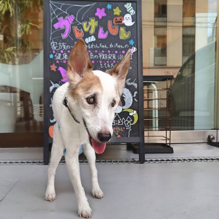 D8f754ca e370 48f4 b1e5 3190660638c2 1759121540023