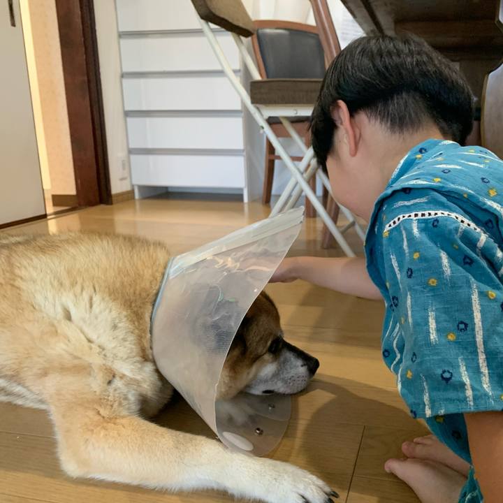 D8f793fe 6ae4 45ab bd22 0802c247bc08 1626855870296