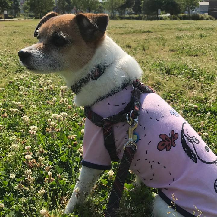 D8f7a6b6 125d 45ab 8a25 d211eb0530b2 1526949734120