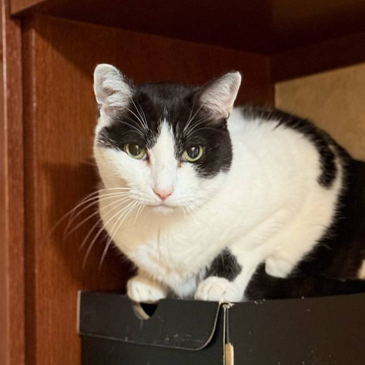 D8f7adcd 42bb 4e88 a81a e4e717c7e19b 1766709992284