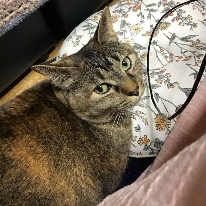 D8f7c925 db58 48c4 ba4a 9c39ebceec74 1710156375734