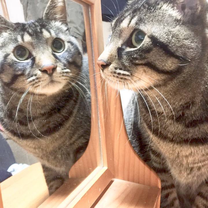 D8f803d0 08a3 4594 a80e 89dca237c803 1549777456444