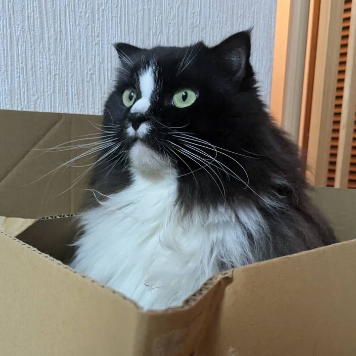 D8f8237b 43a8 4634 aed7 d5dd90ba7257 1729994518122