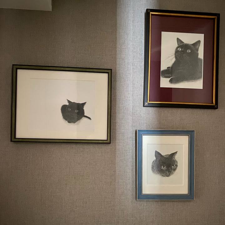 D8f838dd ee1b 4e94 8594 7c1a379f5dd0 1644103273034